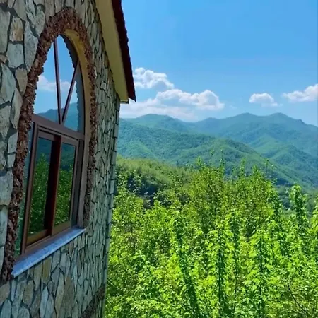 Tani 3*